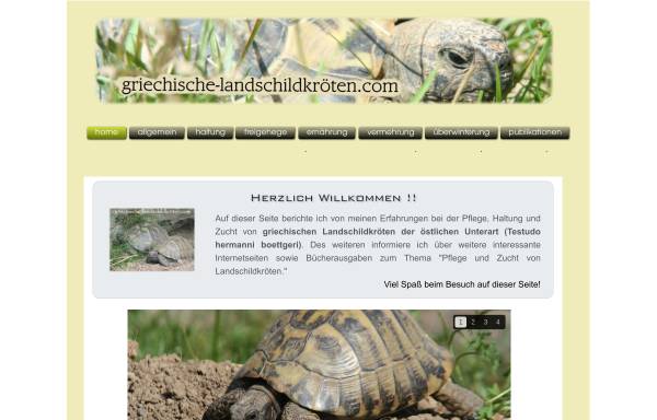 Vorschau von www.xn--griechische-landschildkrten-dzc.com, Griechische Landschildkröten der Ostrasse