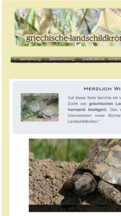 Vorschau der mobilen Webseite www.xn--griechische-landschildkrten-dzc.com, Griechische Landschildkröten der Ostrasse