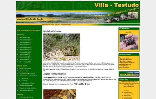 Vorschau von www.villa-testudo.de, Villa-Testudo
