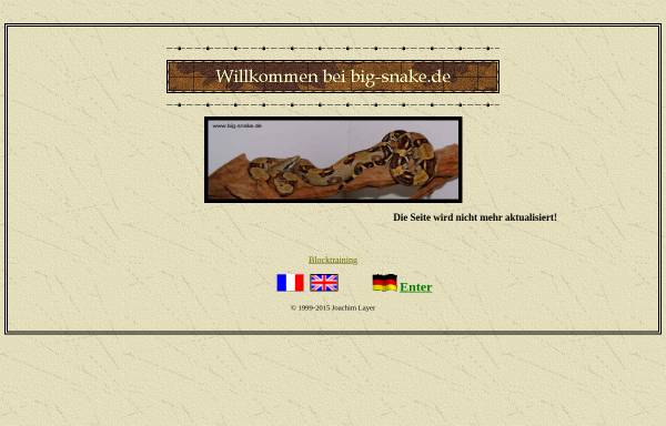 Vorschau von www.big-snake.de, Big-snake