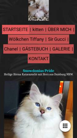 Vorschau der mobilen Webseite www.snowdoniaspride.de, Snowdonias Pride