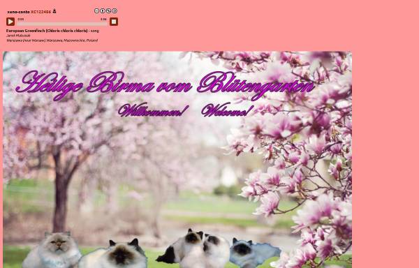 Vorschau von www.heilige-birma-katze.at, Vom Blütengarten