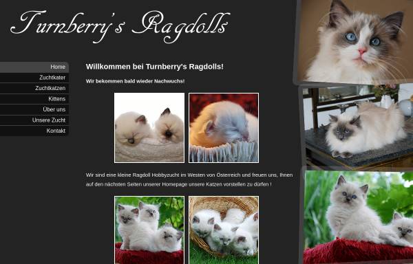 Vorschau von www.ragdoll.at, Lalabis Ragdolls