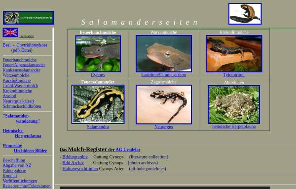 Vorschau von www.salamanderseiten.de, Salamanderseiten