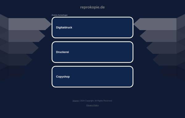 Vorschau von www.reprokopie.de, DruckWerk - ReproKopie System GmbH