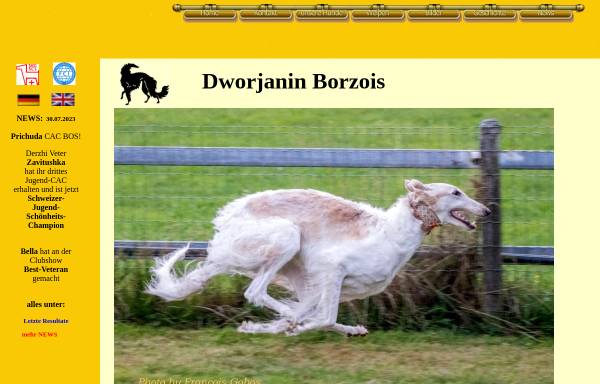 Vorschau von www.dworjanin.ch, Dworjanin Borzois