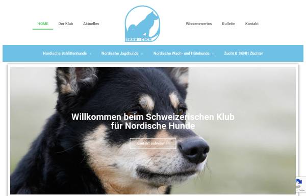 Vorschau von www.sknh.ch, Der Schweizerische Klub nordischer Hunde