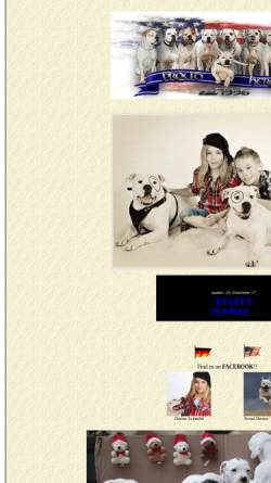 Vorschau der mobilen Webseite www.americanbulldog4u.de, Proud Heroes´ American Bulldogs