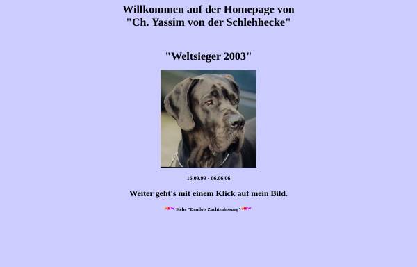 Vorschau von www.deutsche-dogge-yassim.de, Yassim von der Schlehhecke