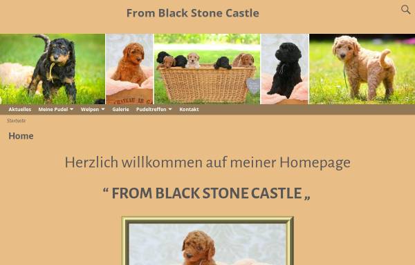 Vorschau von www.fromblackstonecastle.de, From Black Stone Castle