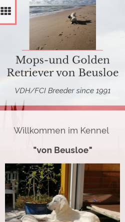 Vorschau der mobilen Webseite www.mopsonline.de, Von Beusloe