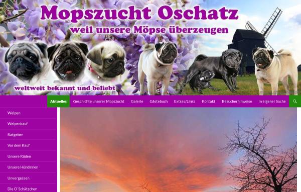 Vorschau von www.mopszucht-oschatz.de, Von der Dahlener Heide
