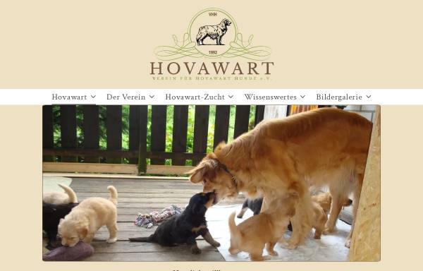 Verein für Hovawart-Hunde e. V.