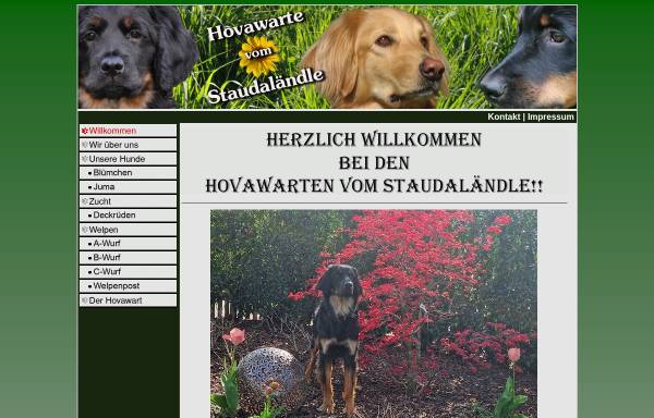 Vorschau von www.hovawarte-vom-staudalaendle.de, Vom Staudalaendle
