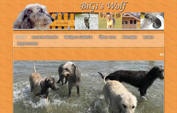 Vorschau von www.irish-wolfhound-samswegen.de, BiGi´s Wolf