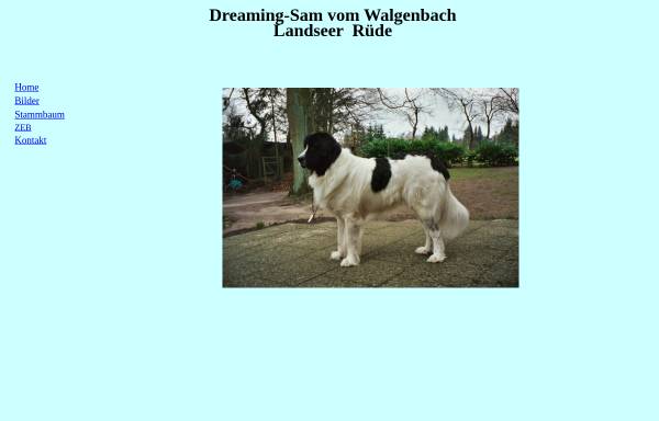 Vorschau von www.dreaming-sam.de, Dreaming Sam vom Walgenbach