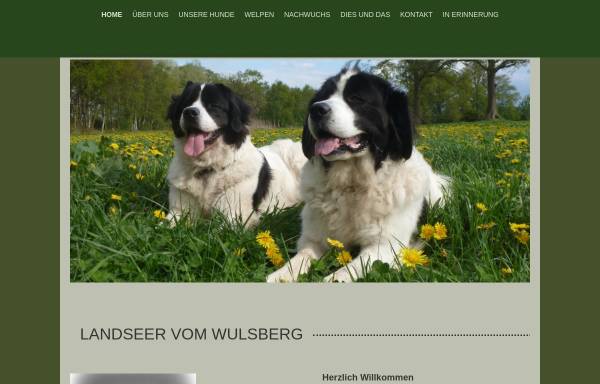 Vorschau von www.landseer-vom-wulsberg.de, vom Wulsberg