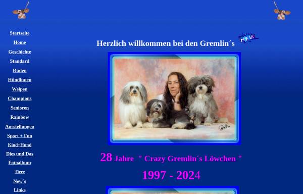 Vorschau von www.crazygremlins.de, Crazy Gremlins