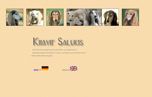 Vorschau von www.saluki-web.de, Khayif