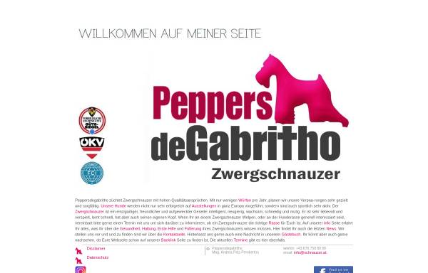 Vorschau von www.peppersdegabritho.at, Pepper's de Gabritho