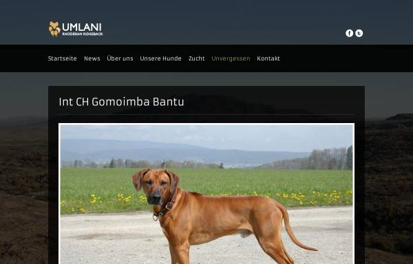 Vorschau von www.bantu.ch, Gomoimba Bantu