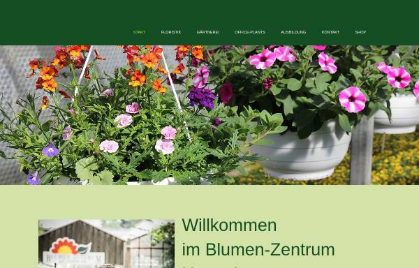 Vorschau von www.blumen-zentrum.de, Blumen-Zentrum - Ch. Hoppe KG
