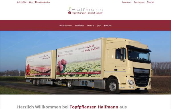 Vorschau von www.tophad.de, Topfpflanzengroßhandel, Im- und Export Johannes Halfmann