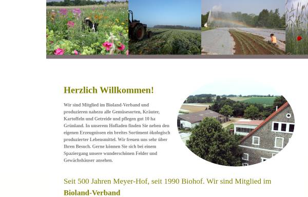 Vorschau von www.meyerzutheenhausen.de, Meyer zu Theenhausen