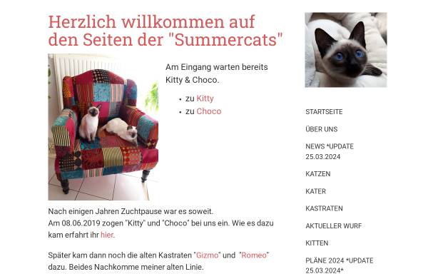 Vorschau von summercats.jimdofree.com, Summercats - Siam alter Typ