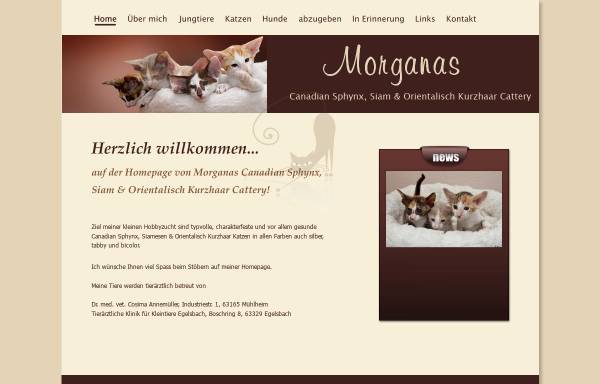 Vorschau von www.morganas.de, Morganas