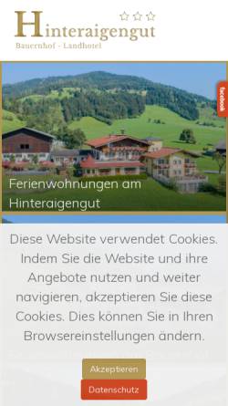 Vorschau der mobilen Webseite www.hinteraigengut.at, Pension Hinteraigengut