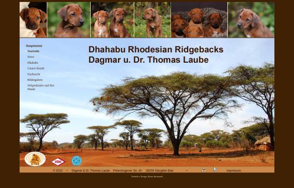 Vorschau von www.dhahabu-rhodesian-ridgebacks.de, Dhahabu