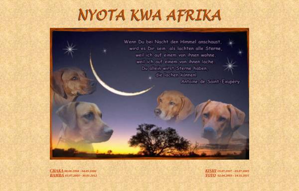 Vorschau von www.nyota-kwa-afrika.de, Nyota kwa Afrika
