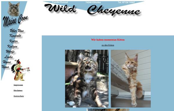 Vorschau von www.mainecoon-katzen.de, Wild Cheyenne