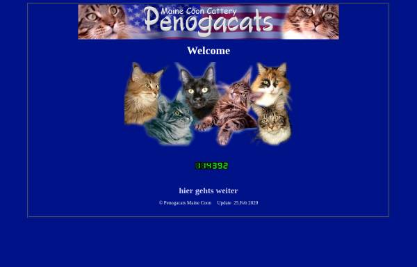 Vorschau von www.penogacats.de, Penogacats