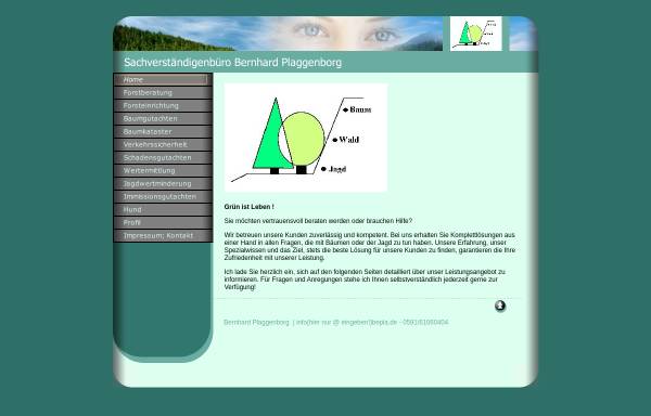 Vorschau von bernhard-plaggenborg.de, Sachverständigenbüro Bernhard Plaggenborg