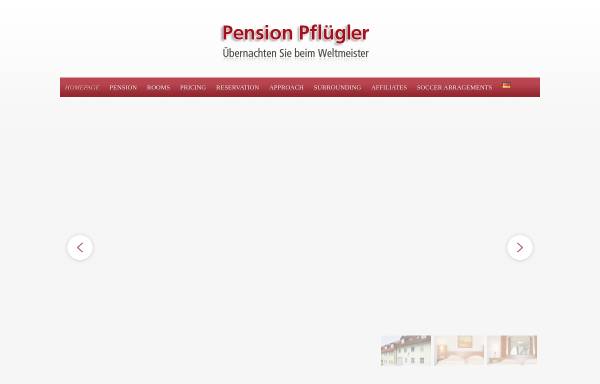 Vorschau von www.pensionpfluegler.de, Pension Pflügler