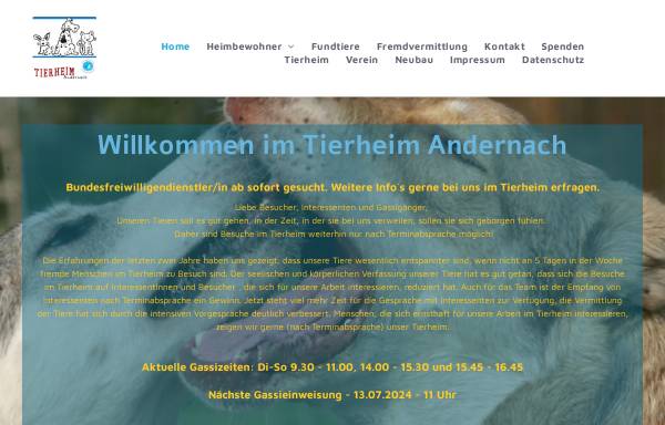 Vorschau von www.tierschutzverein-andernach.de, Tierheim Andernach