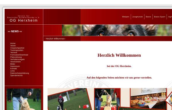 Vorschau von www.og-herxheim.de, Schäferhundeverein OG - Herxheim