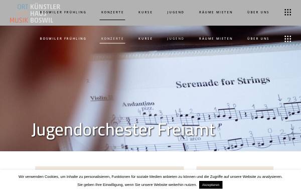 Vorschau von www.jugendorchester-freiamt.ch, Jugendorchester Freiamt