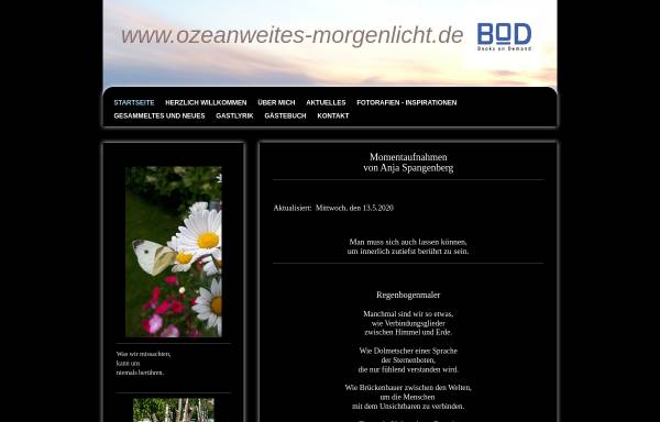 Vorschau von www.ozeanweites-morgenlicht.de, Ozeanweites Morgenlicht