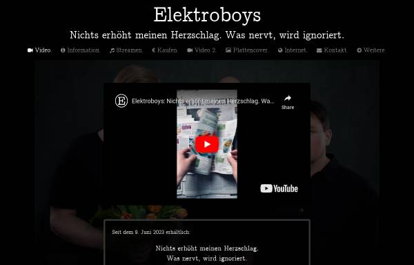 Vorschau von www.elektroboys.com, Elektroboys