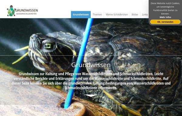 Vorschau von grundwissen-wasserschildkroeten.de, Grundwissen Wasserschildkröten