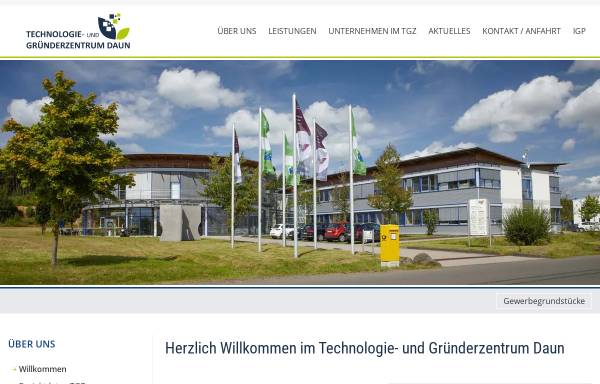 Vorschau von www.tgz-daun.de, Technologie-und Gründerzentrum