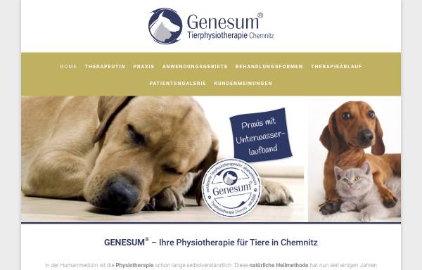 Vorschau von www.physio-hund-pferd.de, Genesum - Physiotherapie für Hund und Pferd