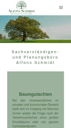 Schmidt, Alfons