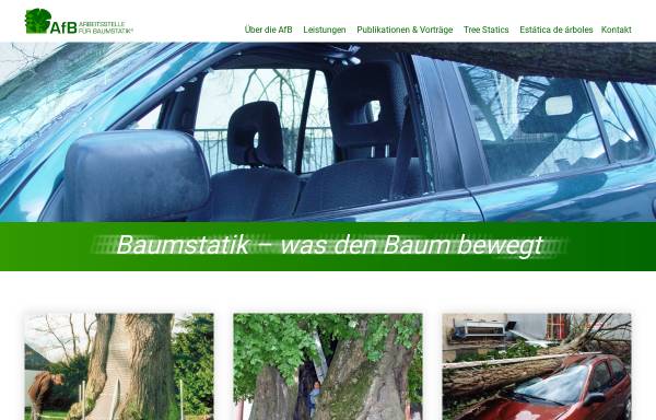Vorschau von baumstatik.de, Sinn, Thomas - Arbeitsstelle für Baumstatik