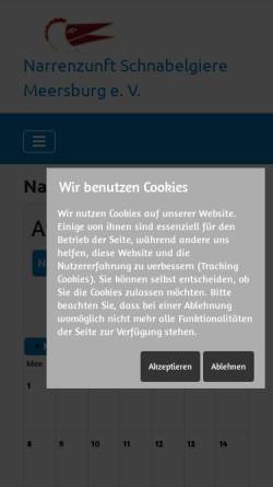 Vorschau der mobilen Webseite www.narrenzunft-schnabelgiere.de, Narrengruppe Hänsele