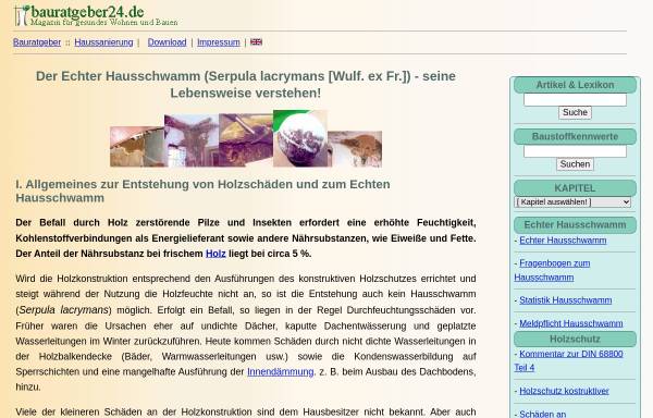 Vorschau von www.ib-rauch.de, Echter Hausschwamm (Serpula lacrimans)