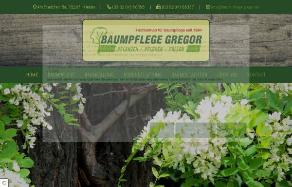 Vorschau von www.baumpflege-gregor.de, Baumpflege Gregor